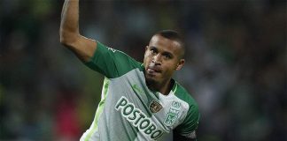 macnelly torres