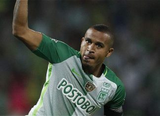 macnelly torres