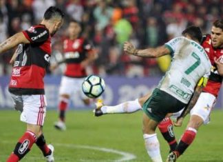 Palmeiras, flamengo, clásico