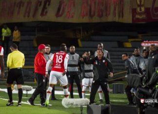 Santa Fe le apuesta a imponer su jerarquía sobre el Deportivo Táchira. apuesta, santa fe, copa libertadores