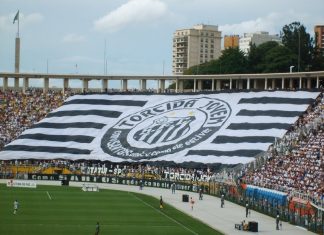 Santos y Estudiantes, pronóstico para las apuestas en un choque de históricos Santos, Estudiantes, pronóstico, apuestas