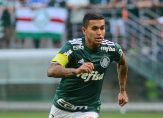 Cerro Porteño con las apuestas en el milagro ante el favorito Palmeiras Cerro Porteño, apuestas, Palmeiras
