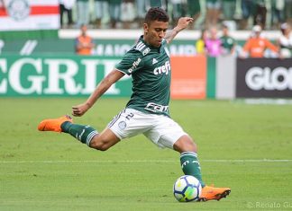 ¿Cerro Porteño frenará al Palmeiras? Datos importantes para las apuestas deportivas Cerro Porteño, Palmeiras, apuestas deportivas