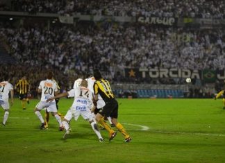 Santos, Apuestas, Vasco Da Gama, Brasileirao