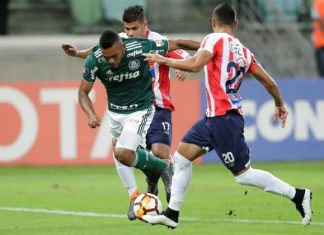Apuesta de goles entre Palmeiras y Junior por Copa Libertadores en Wplay.co