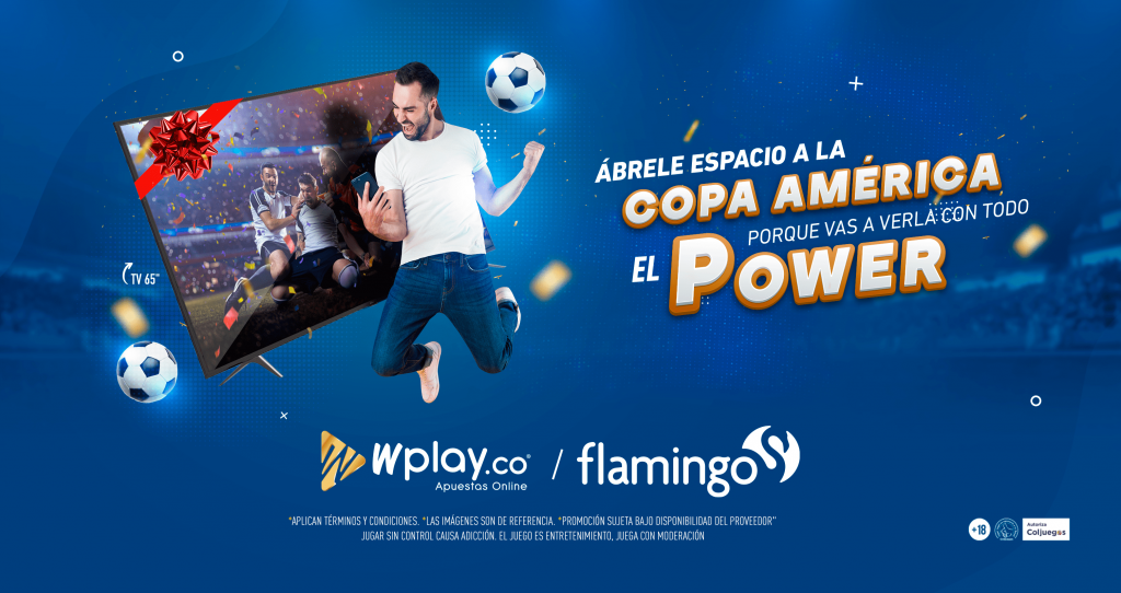 Términos y Condiciones: Tv 65" con Wplay.co y Flamingo