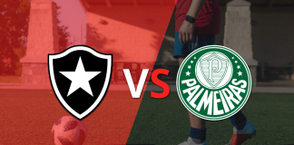 Botafogo vs Palmeiras