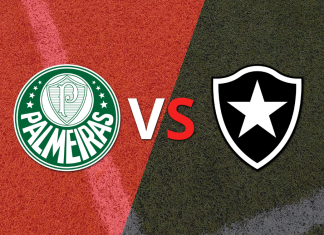 Palmeiras vs Botafogo