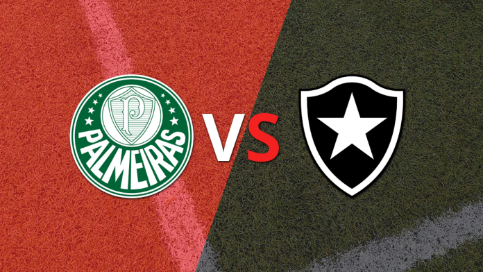 Palmeiras vs Botafogo