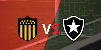 Peñarol vs Botafogo