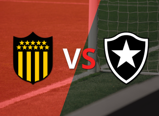 Peñarol vs Botafogo