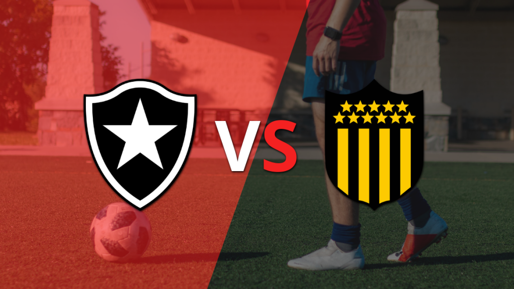 Botafogo vs Peñarol