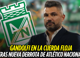 Gandolfi en la cuerda floja tras nueva derrota de Atlético Nacional Atlético Nacional, Javier Gandolfi