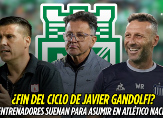 Atlético Nacional: tres posibles reemplazos para Gandolfi Atlético Nacional