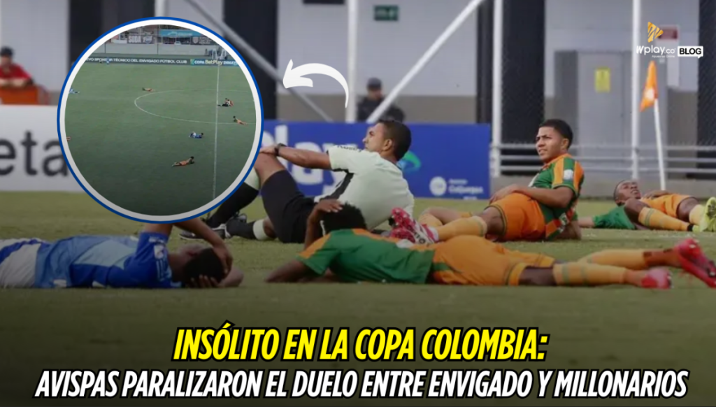 Copa Colombia, Envigado, Millonarios
