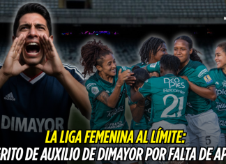 Liga Femenina en crisis: el llamado urgente de Dimayor Liga Femenina