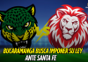 Bucaramanga quiere hacerse fuerte ante Santa Fe Atlético Bucaramanga, Independiente Santa Fe