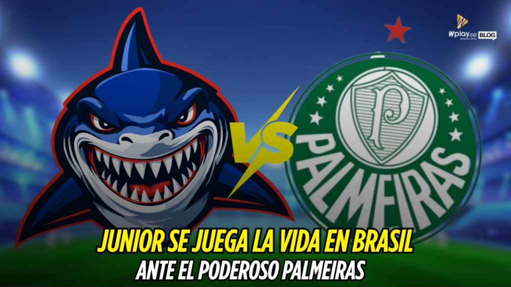 Junior de Barranquilla, Palmeiras, Copa Sudamericana