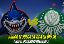 Junior se juega todo ante Palmeiras en Brasil Junior de Barranquilla, Palmeiras, Copa Sudamericana