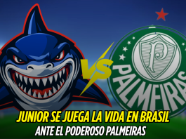 Junior se juega todo ante Palmeiras en Brasil Junior de Barranquilla, Palmeiras, Copa Sudamericana